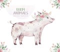 Farms animal isolated set. Cute domestic farm pets watercolor illustration. Pig baby cartoon drawing. Royalty Free Stock Photo