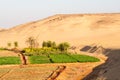 Farms at the edge of dunes Royalty Free Stock Photo