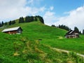 Farms and pastures of the Ostschweiz region