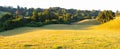 Farms in Puerto Octay at the shores of Lake Llanquihue Royalty Free Stock Photo