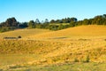 Farms in Puerto Octay at the shores of Lake Llanquihue Royalty Free Stock Photo