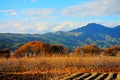 Farms on the Qinghai Tibet Plateau in Winter season Royalty Free Stock Photo