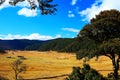 Farms on the Qinghai Tibet Plateau in Winter season Royalty Free Stock Photo