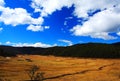 Farms on the Qinghai Tibet Plateau in Winter season Royalty Free Stock Photo