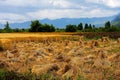 Farms on the Qinghai Tibet Plateau in Winter season Royalty Free Stock Photo