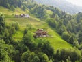 Country life in Alpine landscape summer season scenery Royalty Free Stock Photo