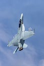 United States Navy Boeing F/A-18F Super Hornet multirole fighter aircraft