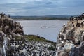 The Farne Islands Royalty Free Stock Photo