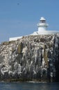 Farne Lighthouse, Inner Farne, Farne Islands Royalty Free Stock Photo