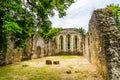 Waverley Abbey Ruins