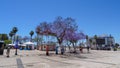 Faro city and natural park Ria Formosa in the south of Portugal Royalty Free Stock Photo