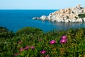 Capo Testa : reef and flowers, Costa Smeralda: popular travel destination in island Sardinia