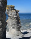 Faro island in Sweden. Stone with a face.