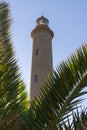 Faro Maspalomas lighthouse with palm leaves in front