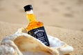 Faro, Portugal - 12/10/2018: little bottles Jack Daniels whiskey in the big ocean shell stand on the sand closeup. Luxury