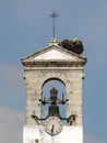 Faro's belltower and nest