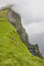 Faroe islands landscape with cliffs and atlantic ocean. Mikladalur, Kalsoy