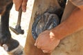 Farrier Royalty Free Stock Photo
