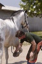 Farrier control the old Horseshoe Royalty Free Stock Photo