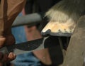 Close-up off farrier shoeing horse shoe to fit Royalty Free Stock Photo