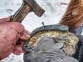 Farrier holding hoof and nailing new horseshoe