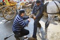 Farrier. Horse's hoof nailing on shoes