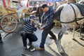 Farrier. Horse's hoof nailing on shoes Royalty Free Stock Photo