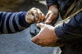 Farrier. Horse's hoof nailing on shoes