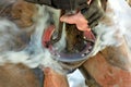 Farrier hot shoeing Royalty Free Stock Photo