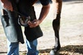 Farrier man, horse foot and farm with hammer for help, race and speed with tools, care and support. Vet team, equine Royalty Free Stock Photo