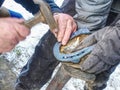 Farrier is nailing up new horseshoe on hoof. Skilled man Royalty Free Stock Photo