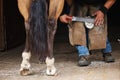 Farrier rasping and filing down a horse hoof before fitting and nailing new horseshoe Royalty Free Stock Photo