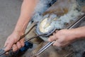 farrier shoeing horse