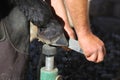 A farrier trimming a horse hoof. Royalty Free Stock Photo
