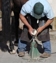 A farrier trimming a horse hoof. Royalty Free Stock Photo