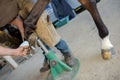 Farrier working on horse's hoof