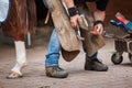Farrier working in stable. Blacksmith nailing horseshoe to horse hoof with a hammer