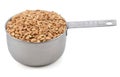 Farro dicocco in a cup measure Royalty Free Stock Photo