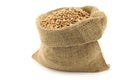 Farro grain in a burlap bag Royalty Free Stock Photo
