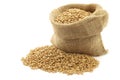 Farro grain in a burlap bag Royalty Free Stock Photo