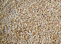 Farro seedss Royalty Free Stock Photo