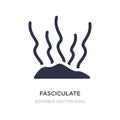 fasciculate icon on white background. Simple element illustration from Nature concept