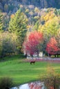Lonely horse on picturesque autumn meadow with trees and pond
