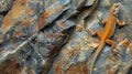 Fascinating closeup of a rusty orange lizard camouflaged against a rock blending seamlessly with its varnished surface Royalty Free Stock Photo