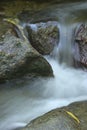 Fascinating detail of Water Streams In Unique EL Avila National Park in Caracas, Venezuela