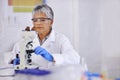 Fascinating finds. A senior female scientist working in her lab. Royalty Free Stock Photo