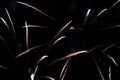 Fascinating fireworks in the night sky. Multidirectional luminous jets