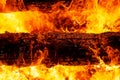 Fascinating graphic detail of burning fire consuming wooden logs.