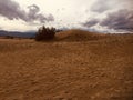 Sand Dunes in Death Valley National Park Royalty Free Stock Photo