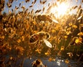 fascinating scene of a Pollinator symphony is presented by a swarm of bees.